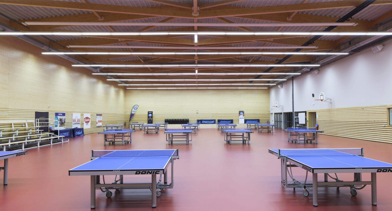 Curiosità sul ping pong