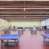 Curiosit&agrave; sul ping pong